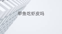 甲鱼吃虾皮吗 家养甲鱼可以吃虾皮吗