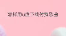 怎样用u盘下载付费歌曲 怎样下载快手舞曲u盘
