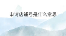 申请店铺号是什么意思 pop店铺是什么意思
