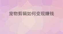 宠物剪辑如何变现赚钱 剪辑后如何变现赚钱