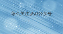 怎么关注派派公众号 如何关注派派公众号
