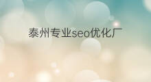 泰州专业seo优化厂 泰州seo专业优化