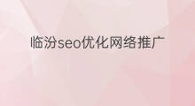 临汾seo优化网络推广 临汾seo优化效果