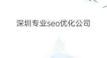深圳专业seo优化公司 深圳专业seo优化公司有呢些