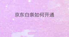 京东白条如何开通 怎么开通京东白条