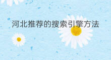 河北推荐的搜索引擎方法 河北常见搜索引擎推荐优化