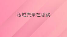 私域流量在哪买 私域流量放在哪