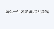 怎么一年才能赚20万块钱 一年怎么赚20万块钱