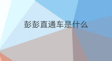 彭彭直通车是什么 直通车权益是什么