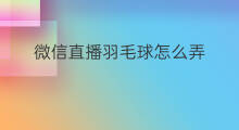 微信直播羽毛球怎么弄 线下店买羽毛球会给球袋吗