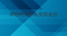 项目利润怎么变现金流 其他应收款属于现金流吗