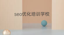 seo优化培训学校 seo优化培训