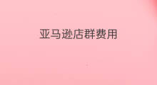 亚马逊店群费用 亚马逊店群软件费用