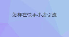 怎样在快手小店引流 怎样在快手引流加人