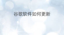 谷歌软件如何更新 谷歌更新了吗