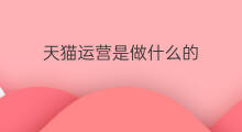 天猫运营是做什么的 京东运营是做什么的
