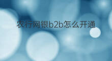 农行网银b2b怎么开通 分类b2b网
