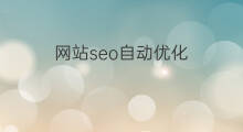 网站seo自动优化 网站优化与SEO