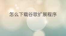 怎么下载谷歌扩展程序 chatgpt谷歌扩展包