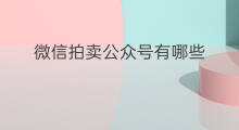 微信拍卖公众号有哪些 微信公众号有哪些