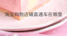 淘宝购物店铺直通车在哪里 淘宝店铺直通车在哪里