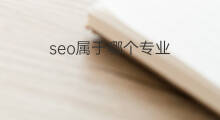 seo属于哪个专业 谷歌seo优化哪个专业