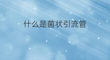 什么是菌状引流管 引流管是啥