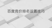 百度竞价排名设置技巧 百度竞价排名技巧口诀