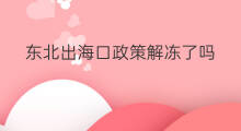 东北出海口政策解冻了吗 东北出海口是哪个国家