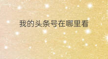 我的头条号在哪里看 头条的微头条在哪里看