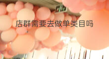 店群需要去做单类目吗 店群做啥类目