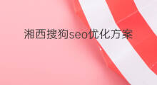 湘西搜狗seo优化方案 湘西seo优化厂商