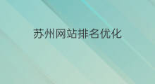 苏州网站排名优化 苏州网站建设优化排名推广