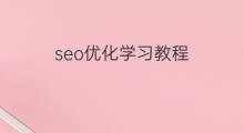 seo优化学习教程 梅州seo优化学习