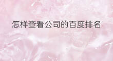 怎样查看公司的百度排名 怎样提高公司百度排名