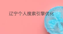 辽宁个人搜索引擎优化 辽宁个人搜索引擎优化价钱