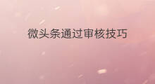 微头条通过审核技巧 微头条审核通过步骤