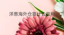洋葱海外仓靠什么盈利 洋葱海外仓怎么开店