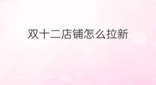 双十二店铺怎么拉新 lazada有双十二吗