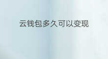 云钱包多久可以变现 独立站多久可以变现