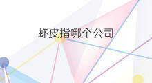 虾皮指哪个公司 aso指哪个指标