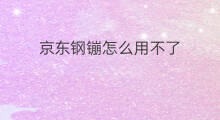 京东钢镚怎么用不了 京东钢镚怎么变现寄售