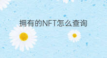 拥有的NFT怎么查询 拥有的粉丝怎么变现