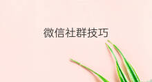 微信社群技巧 微信社群怎么主持
