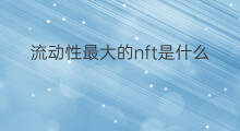 流动性最大的nft是什么 投资流动性什么