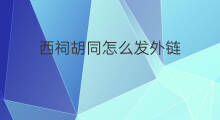 西祠胡同怎么发外链 如何发外链_外链建设