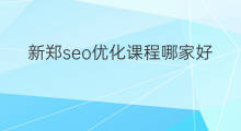 新郑seo优化课程哪家好 新郑seo优化课程方案