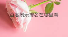 百度展示排名在哪里看 百度推广在哪里看排名