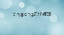 pingpong怎样绑定独立站 shopee怎么绑定pingpong