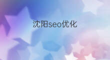 沈阳seo优化 沈阳站内优化seo